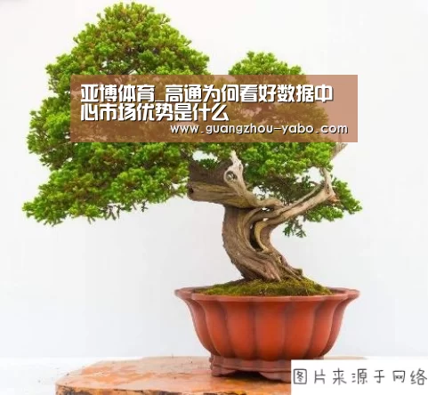 亚博体育_高通为何看好数据中心市场优势是什么(图1) 亚博体育app官方下载