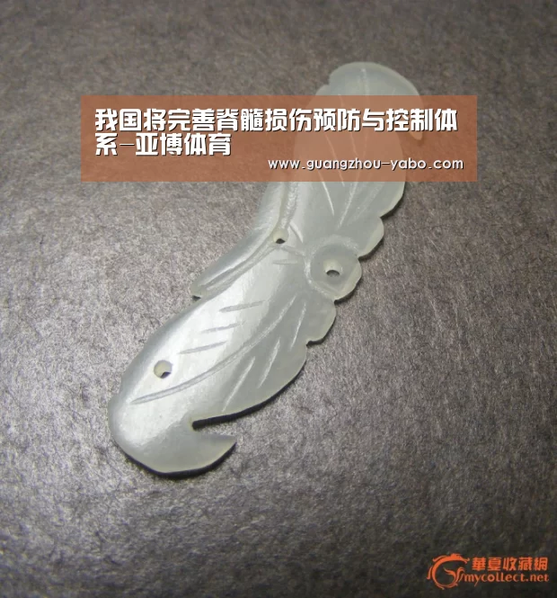 我国将完善脊髓损伤预防与控制体系-亚博体育(图3) 亚博体育