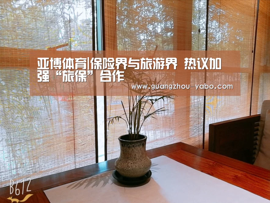 亚博体育|保险界与旅游界 热议加强“旅保”合作(图3) 亚博体育