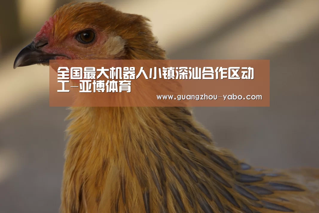 亚博体育官网