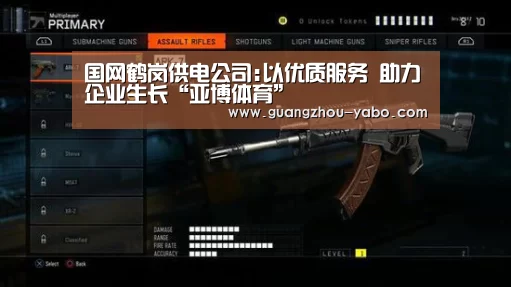 国网鹤岗供电公司:以优质服务 助力企业生长“亚博体育”(图1) 亚博体育官网