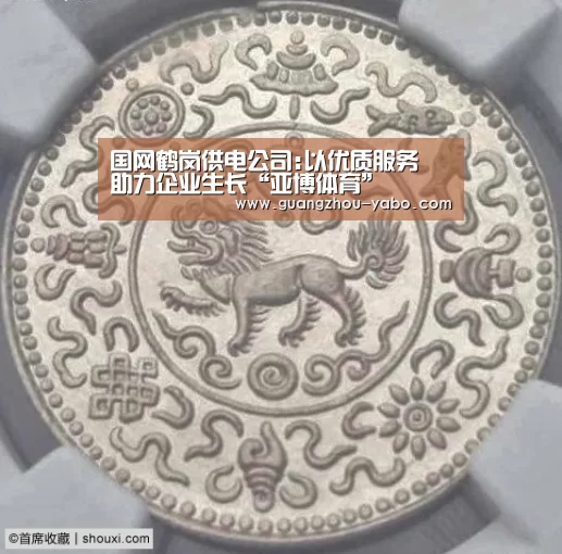 国网鹤岗供电公司:以优质服务 助力企业生长“亚博体育”(图3) 亚博体育